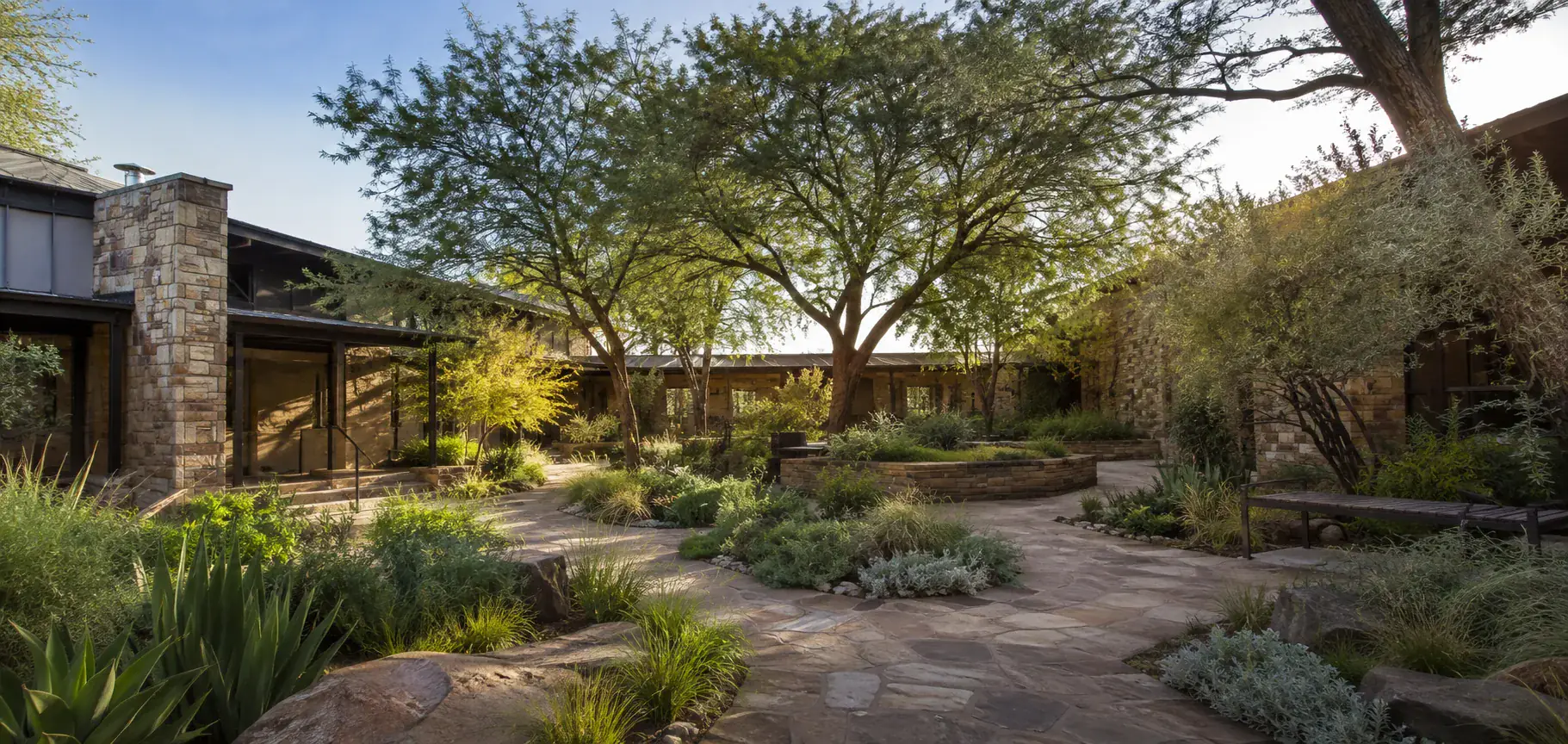 A mature indigenous courtyard garden shaped around stone paths and shade trees